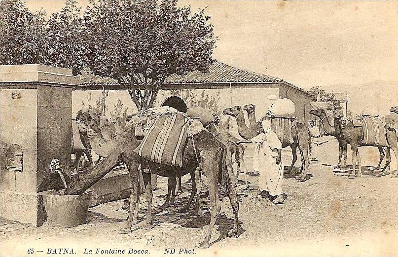 Batna - La fontaine Bocca