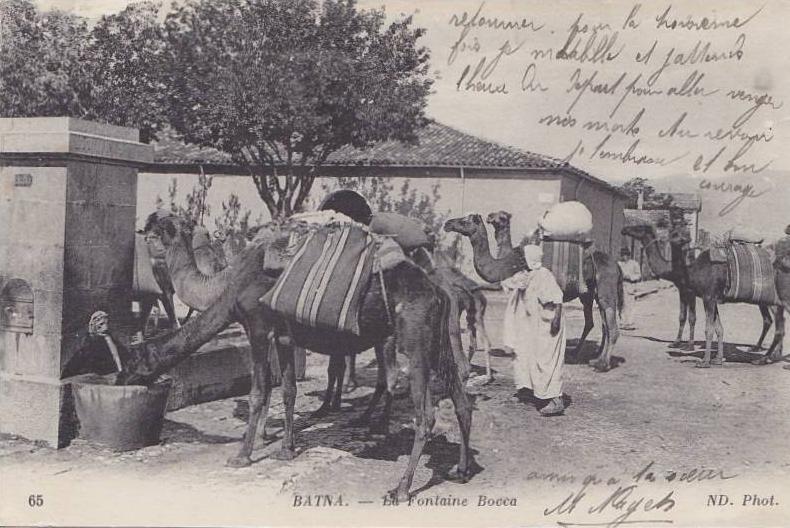 Batna.- (Algérie)  La Fontaine Bocca  - (belle animation)
