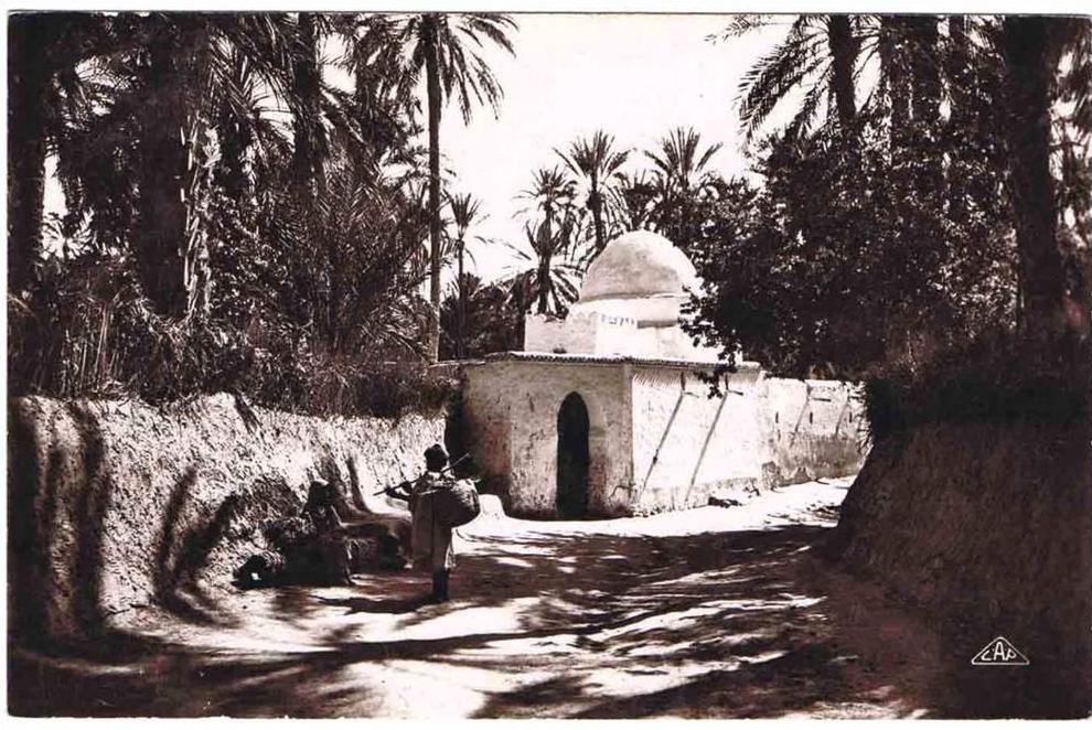 19?? - BISKRA - Marabout dans l'Oasis - Animation - SUPERBE CPA