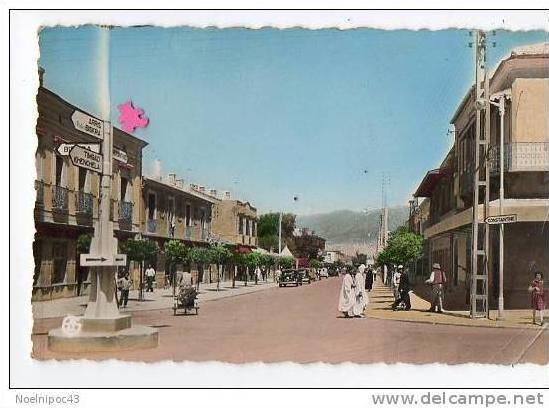 ALGERIE-BATNA-Avenue de la République--------------- animée-voitures