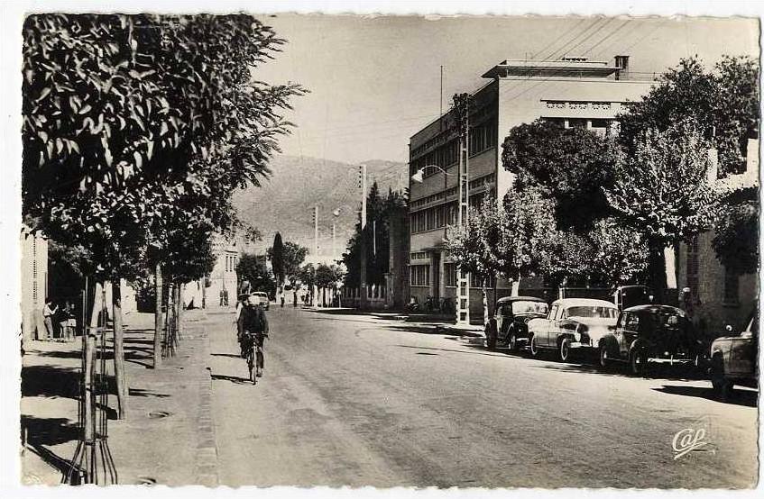 ALGERIE  -  BATNA  -  ROUTE DE CONTANTINE  -  CPSM 1940/50