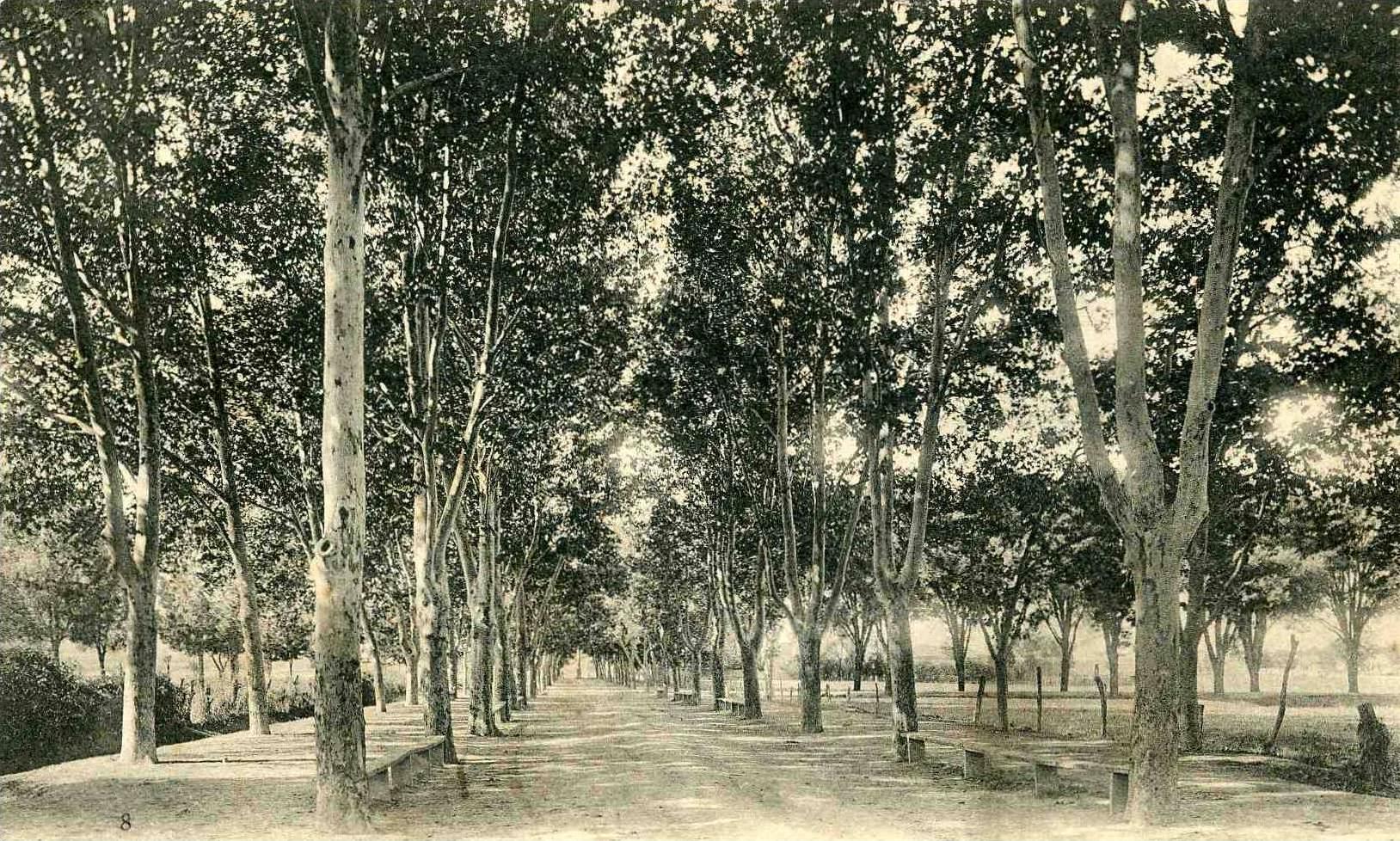 ALGERIE BATNA Les allées d'Aumale + 3 CAD BATNA