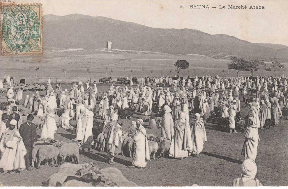 BATNA - LE MARCHE ARABE - MOUTONS