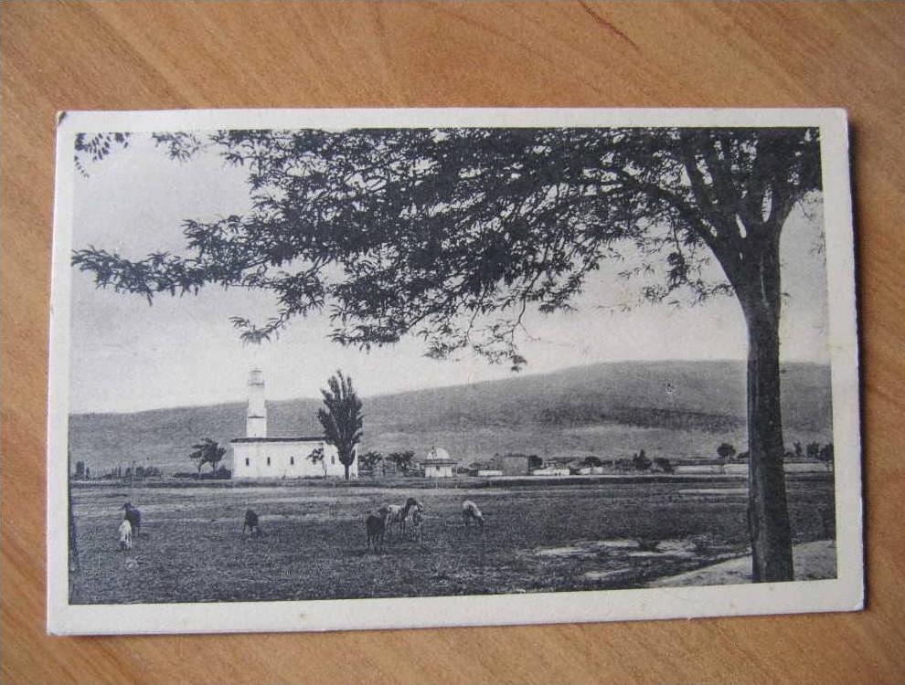 CPA--GG-- ALGERIE - BATNA -  la mosquee ....