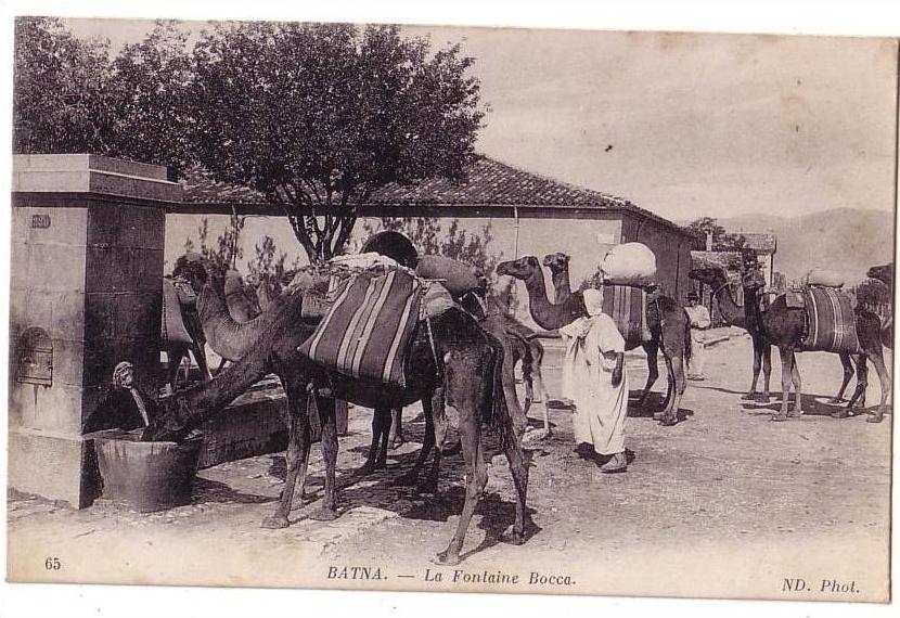 Afrique / Algérie /  BATNA /  La Fontaine Bocca    ( carte en bon état.....)