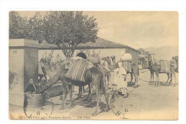 ALGERIE )) BATNA  La fontaine Bocca   ND 65