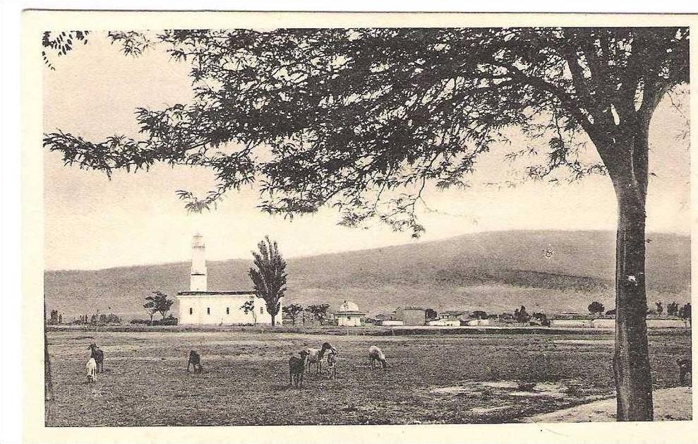 batna   algerie (la mosquée)