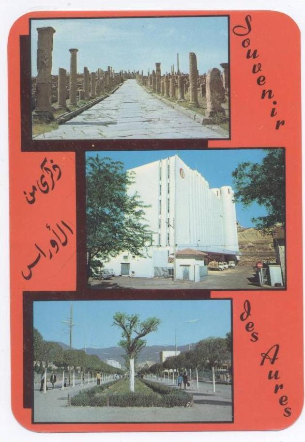 CPA neuf batna souvenir des aures