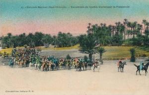 ALGERIE - COLOMB BECHAR - Escadrons de Spahis traversant la Palmeraie
