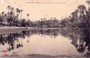 CPA carte postale ancienne AFRIQUE ALGERIE COLOMB-BECHAR le grand bassin