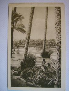 Riviére de Colomb Béchar