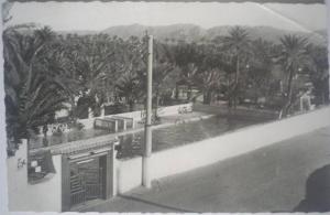 C. Postale  ALGERIE - COLOMB-BECHAR - La Piscine Municipale (1961)