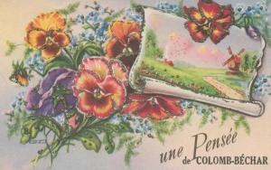 CPA Algérie  Souvenir de COLOMB-BECHAR      A  VOIR !!!!!