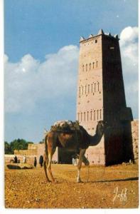 CPM Algérie Pittoresque la Halte  dos Béchar le 5/4/1967