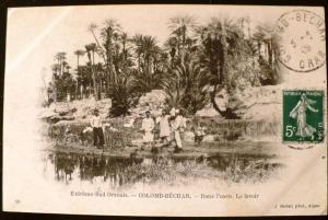 ALGERIE  COLOMB BECHAR. dans l'oasis. Le lavoir