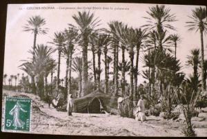 ALGERIE  COLOMB BECHAR. campement des ouled djerir dans la palmeraie