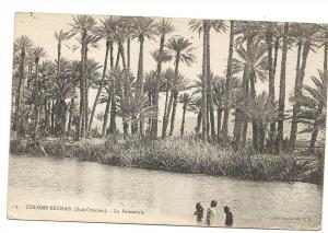 Bechar ou Colomb-Béchar (Algérie)  Baignade dans la palmeraie env 1906 (animée).
