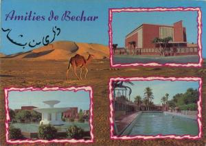 ALGERIE ALGERIA Bechar