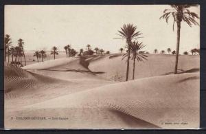Algérie - Colomb-Béchar - Les Dunes