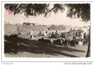 ALGERIE-COLOMB-BECHARD-Un e  caravane----------------- ------très  animée