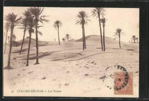 CPA Colomb-Bechar, Les Dunes, DÌnen in der WÌste mit Palmen