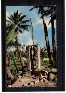 Algerie , COLOMB-BECHAR Puits de la palmeraie  , Argence éditions