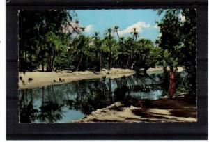 Algerie COLOMB BECHARD vu par , Argence  éditions