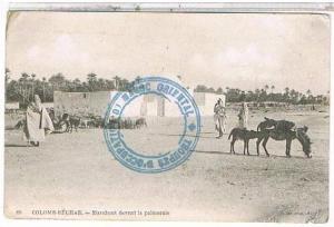 COLOMB BECHAR  MARABOUT  DEVANT  LA PALMERAIE    1K651