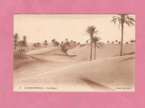 * CPA..ALGERIE.....COLOMB - BECHAR..Les  Dunes