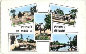 Colomb Bechar. Poignée de main de Colomb Bechar. CPSM petit format, multivues