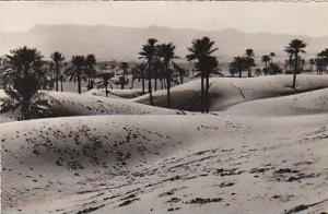 algérie Colomb Bechar Dunes au fond le Djebel Bechar  Argence