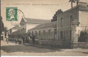 ALGERIE... BECHAR L'Oued et la Palmeraie