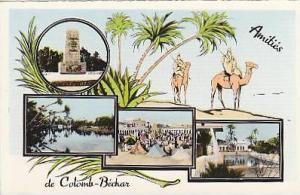 algérie amitiées  de Colomb Bechar cpm multivue  ed photo africaine 12.11