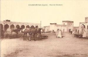 Algérie COLOMB-BECHAR Place des Chameaux