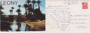CPSM  10X15  d´ ALGERIE -  BECHAR  La Palmeraie 1968