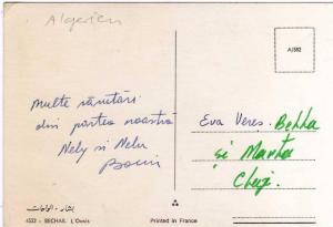 Colomb Bechar  L ´ Oasis