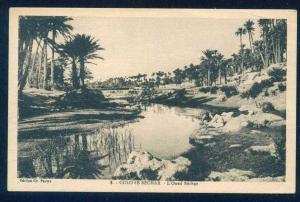 COLOMB - BECHARD - L' ONED BECHAR - Algerie  Algeria Algerien 60005
