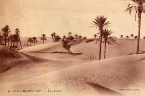ALGERIE COLOMB-BECHAR Les Dunes