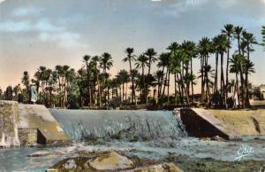 ALGERIE / ALGERIEN              COLOMB-BECHAR.    Le Barrage