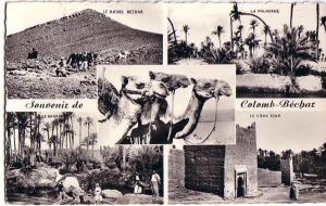 Souvenir de COLOMB-BECHAR -  Belle CPSM à vues multiples des années 50