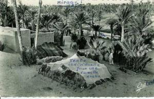 ALGERIE...COLOMB BECHAR Dans l'Oasis