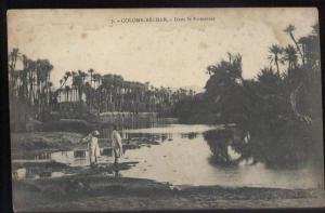 -  ANIMEE. -  COLOMB-BECHAR. -  DANS LA PALMERAIE. ... (13594)