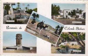cpsm Colomb Bechar ( Algerie ) multivues  commissariat , piscine , monument Leclerc ...