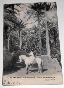 CPA Afrique Algérie Colomb Béchar - Entrée de la Palmeraie