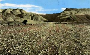 CPSM PETIT FORMAT DENTELE COLOMB BECHAR PISTE DE DJENIEN AU FOND LE DJEBEL BECHAR  VOIR SCANER