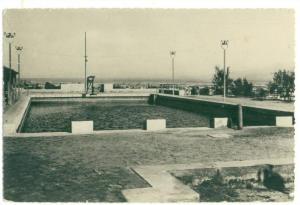 BECHARD DJEDID (Algérie) - CPSM - La piscine
