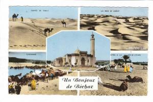 Béchar       Multivues