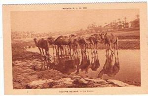 ALGE...COLOMB  BECHAR --  LA  RIVIERE  1930