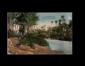 19 - COLOMB-BECHAR - Promenade dans la Palmeraie