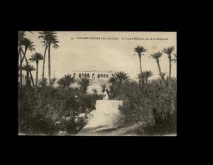 34 - COLOMB-BECHAR - Le Cercle Militaire, vue de la Palmeraie